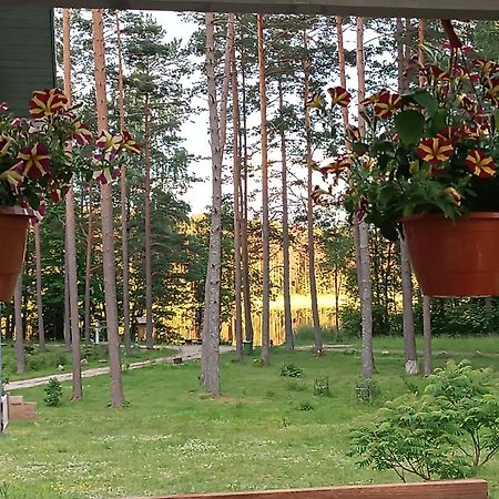 Dreamcatcher Straupe Zewnętrze zdjęcie